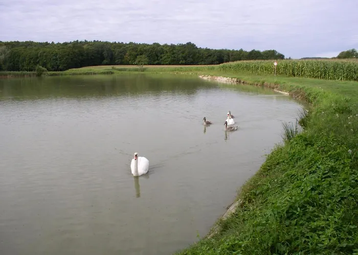 Mali Portoroz V Prlekiji ליוטומר
